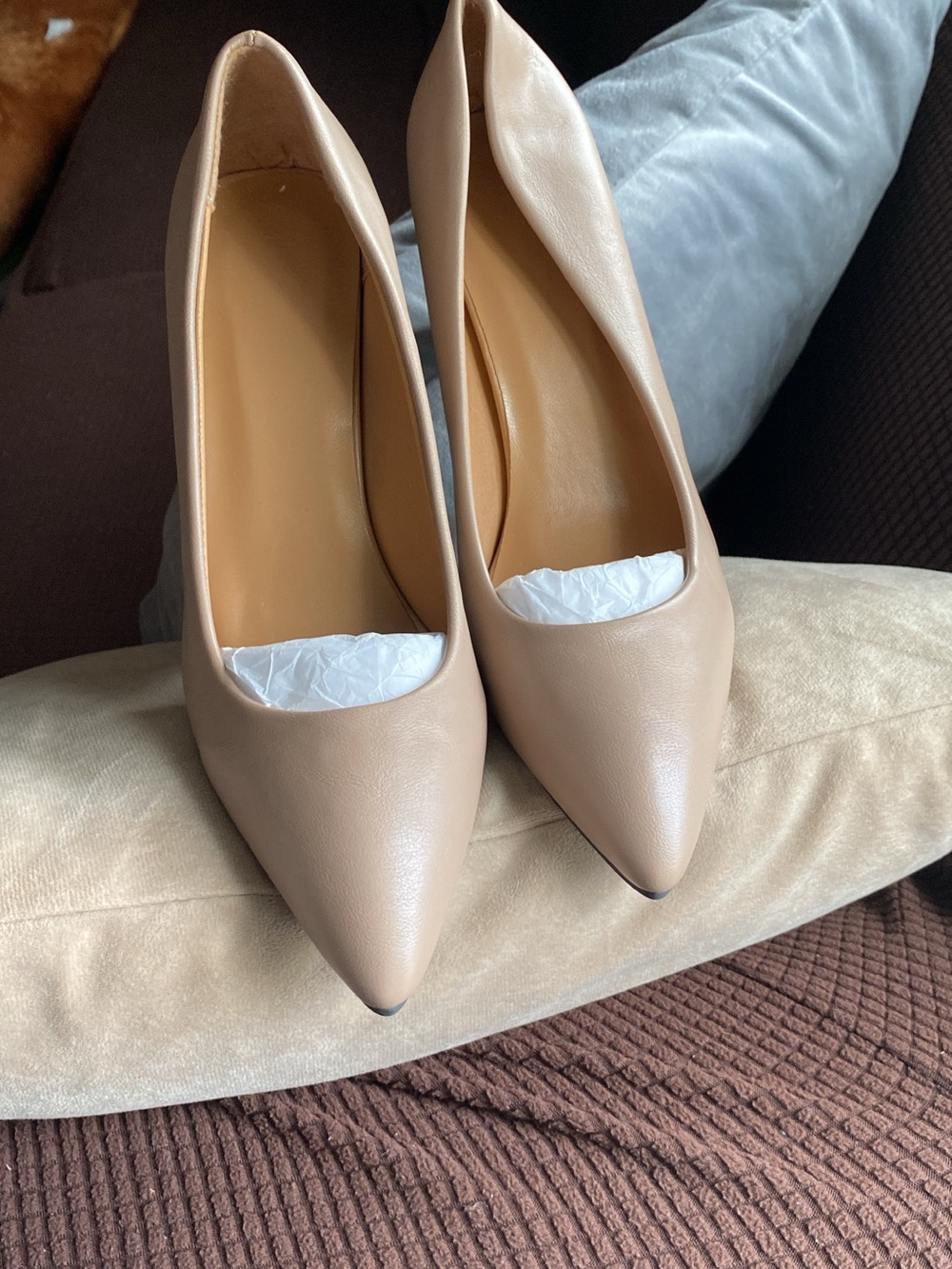 Classic Pointed-Toe Women's Pumps - Nude